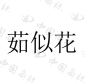 茹似花 