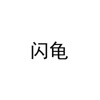 闪龟 