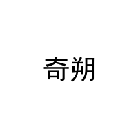 [16类]奇朔