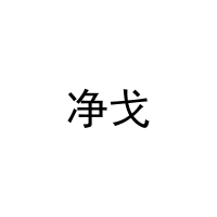 [16类]净戈