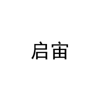 [20类]启宙