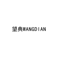 望典WANGDIAN 