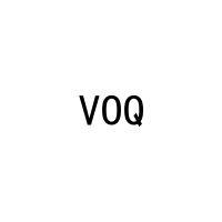 [21类]VOQ