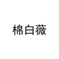 棉白薇 