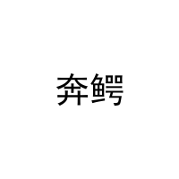 [25类]奔鳄