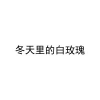 [25类]冬天里的白玫瑰