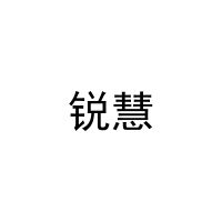 [28类]锐慧