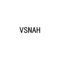 [29类]VSNAH
