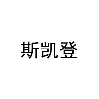 斯凯登 