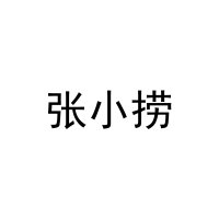 张小捞 