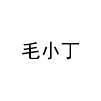 [41类]毛小丁