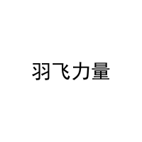 羽飞力量 