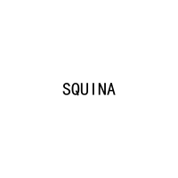 [9类]SQUINA